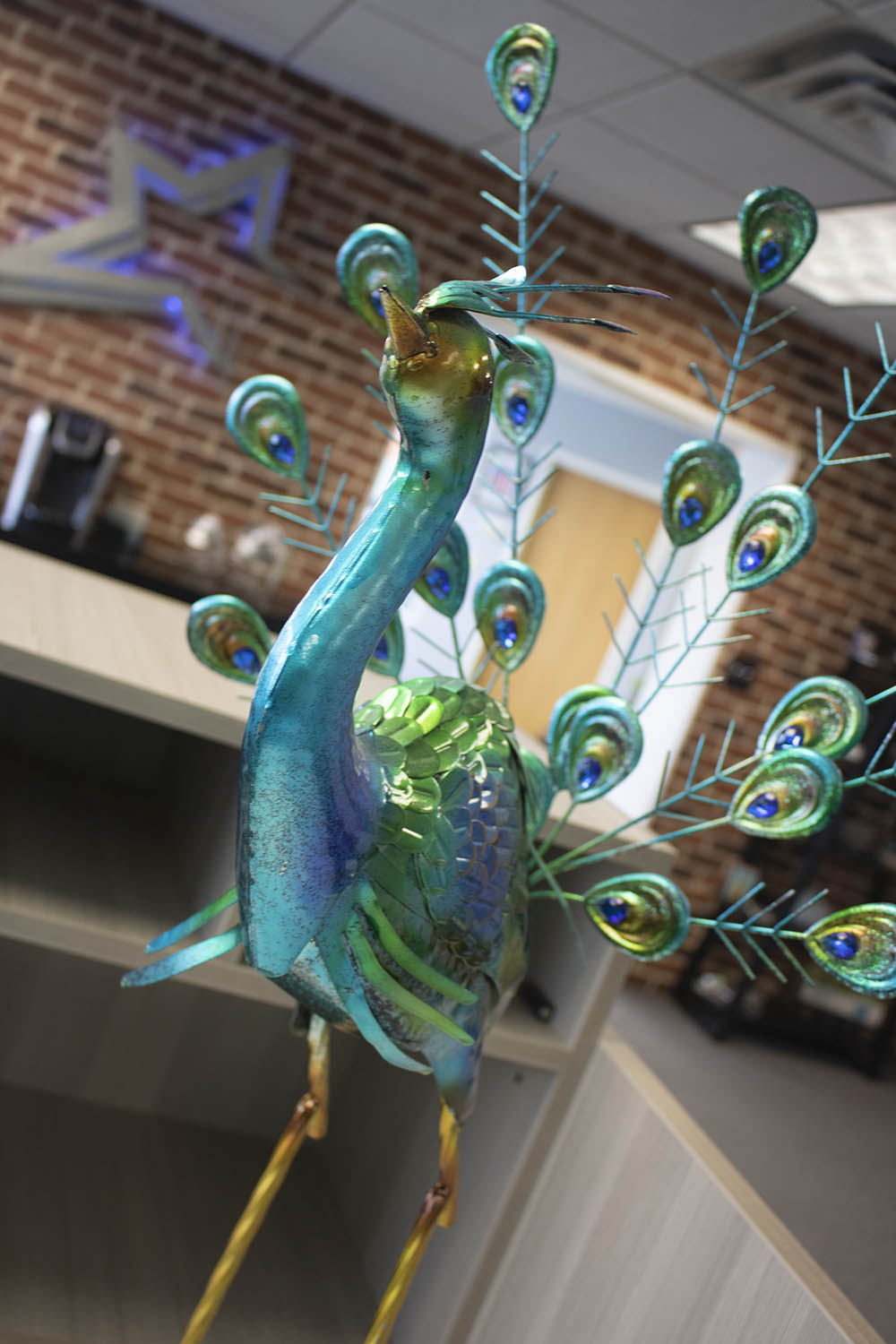 peacock_3